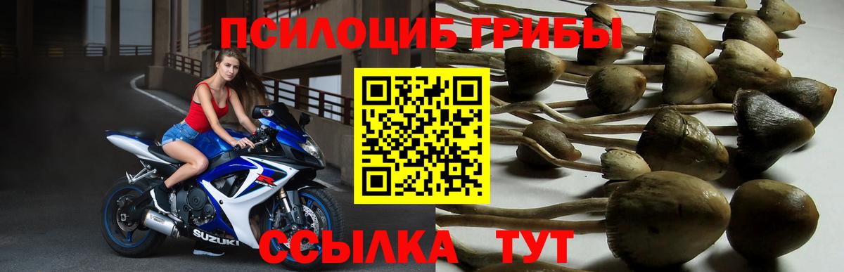 Полысаево  Псилоцибиновые грибы мухоморы  Вход с VPN 